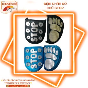 ppf vision 2021 2025